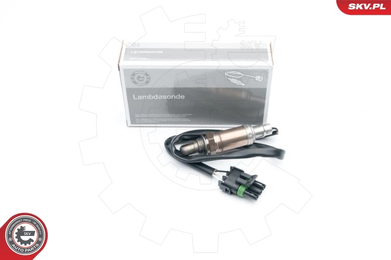 Oxygen Sensor